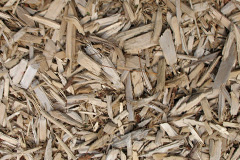 biomass boilers Dunragit